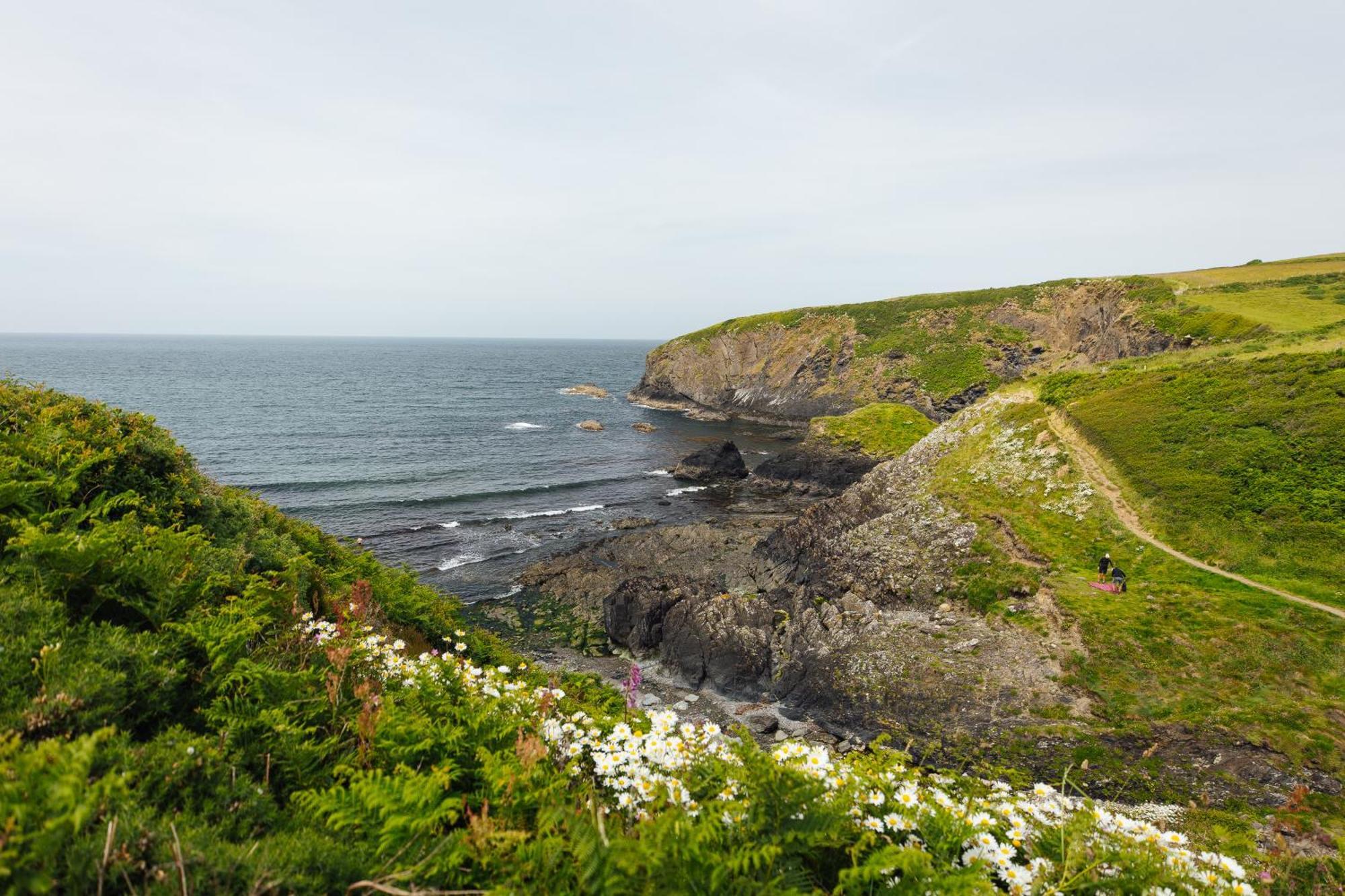 Cliff-Top Cottage On Coast Path W/Panoramic Views Trevine Kültér fotó
